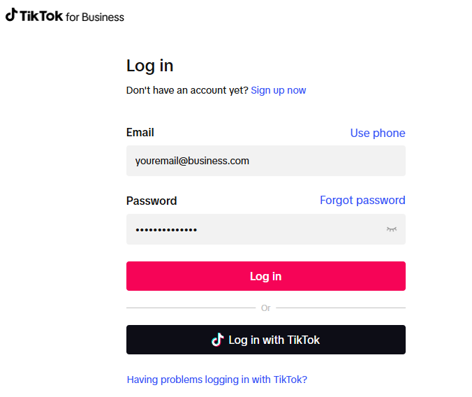 TikTok Ads credentials